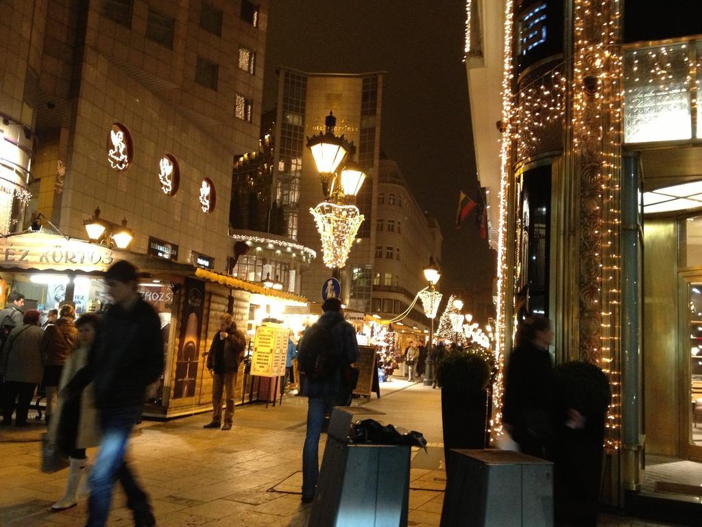 Private Apartment Centertown Budapest Phòng bức ảnh
